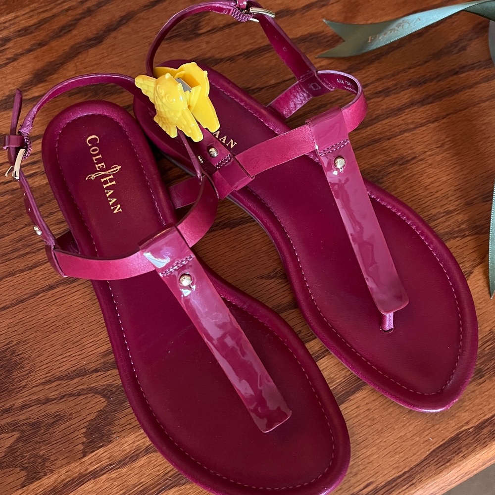 Cole Haan Boardwalk Thong Sandals, size 5.5, raspberry